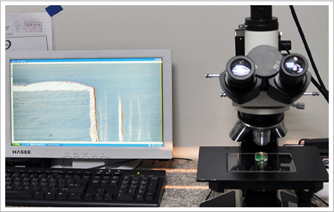 Cross-section-Inspection.jpg